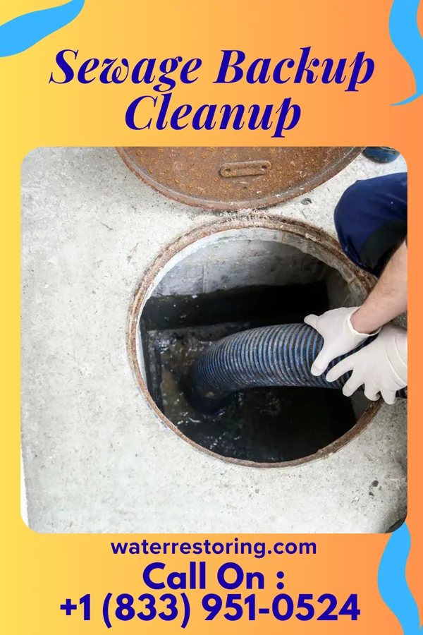 Sewage Backup Cleanup in Madrid, IA