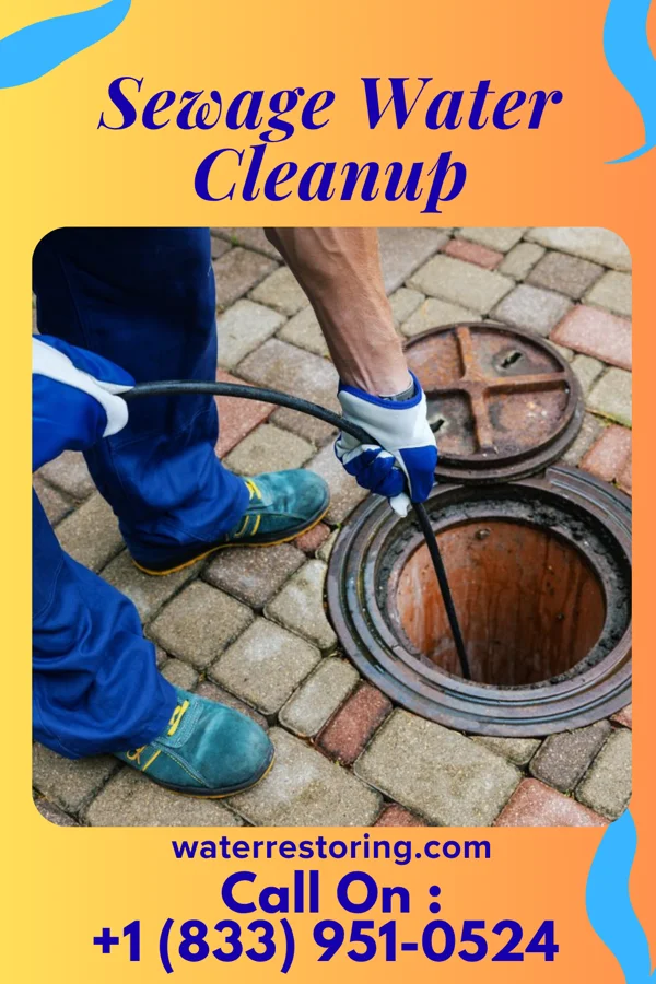 Sewage Water Cleanup in Madrid, IA